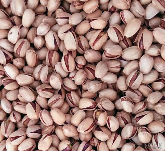 پسته کله قوچی دانه درشت + مناسب پذیرایی های خاص + قیمت و خرید عمده